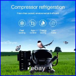 24V /12v Compressor Fridge 20 Litre Drawer Fridge Camper Van Motorhome Low Power